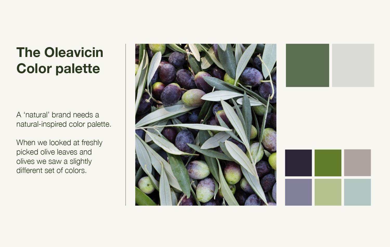 Oleavicin — 04